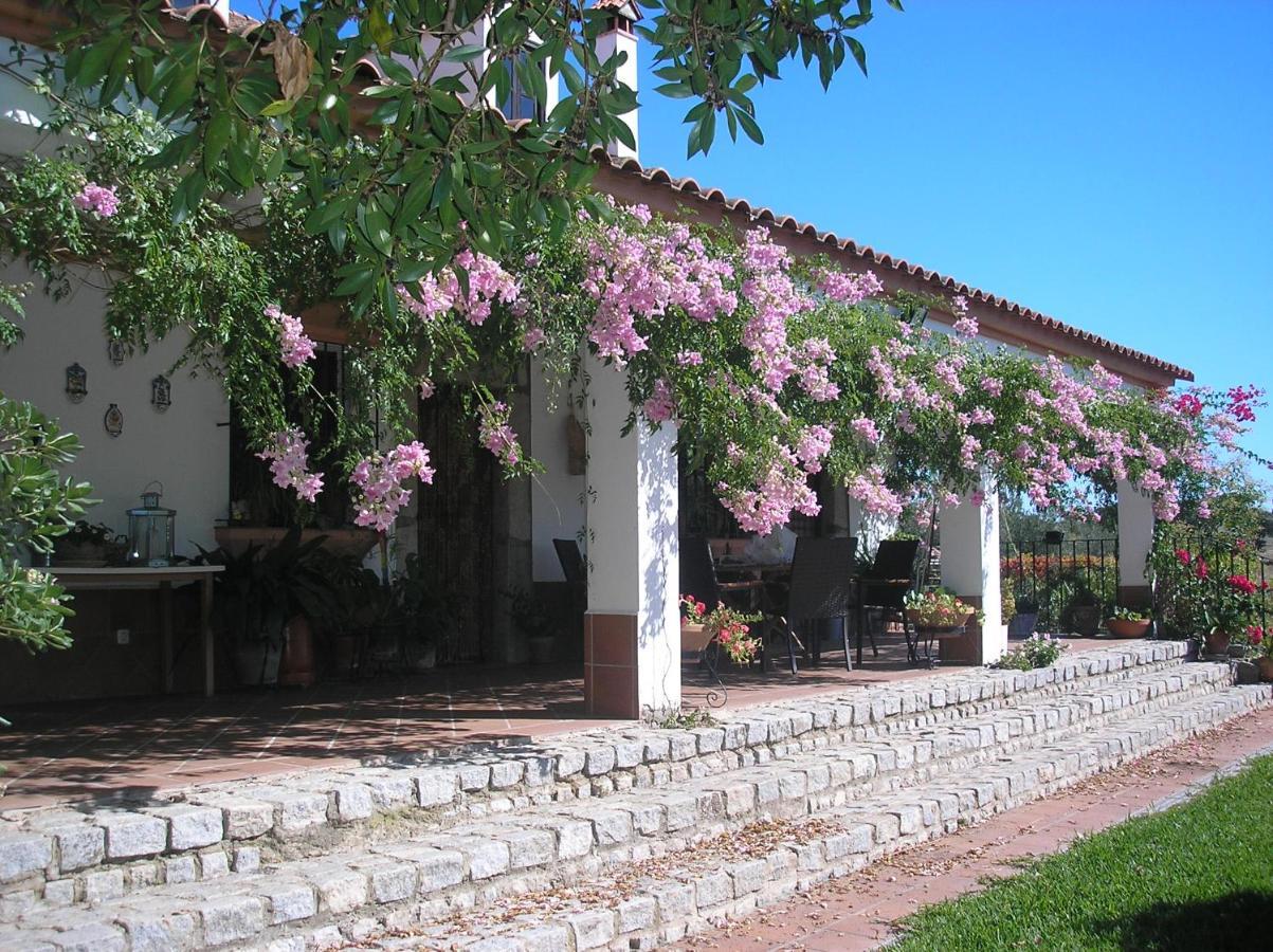 Casa Rural "El Carrasca" El Carrascalejo Ngoại thất bức ảnh