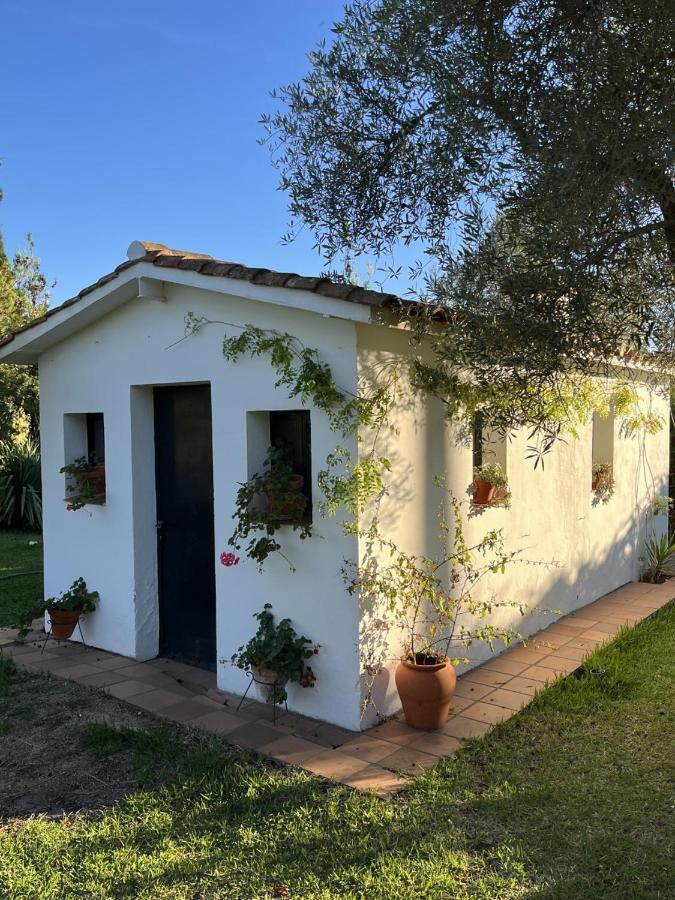Casa Rural "El Carrasca" El Carrascalejo Ngoại thất bức ảnh